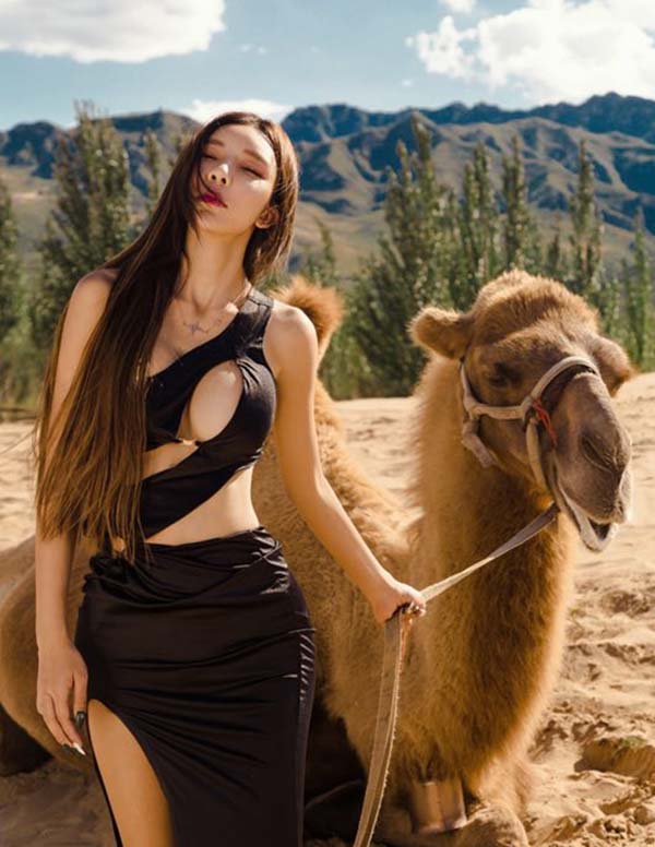 旧金山高端伴游上门