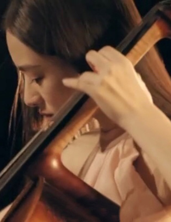 波士顿商务模特价格