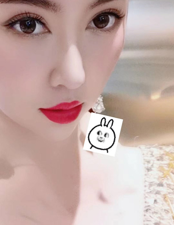 波士顿商务伴游