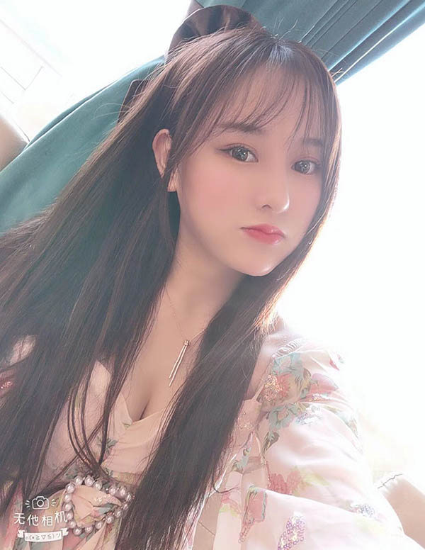 波士顿伴游价格